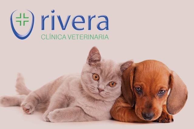 Clínica Veterinaria Rivera